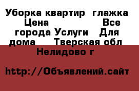 Уборка квартир, глажка. › Цена ­ 1000-2000 - Все города Услуги » Для дома   . Тверская обл.,Нелидово г.